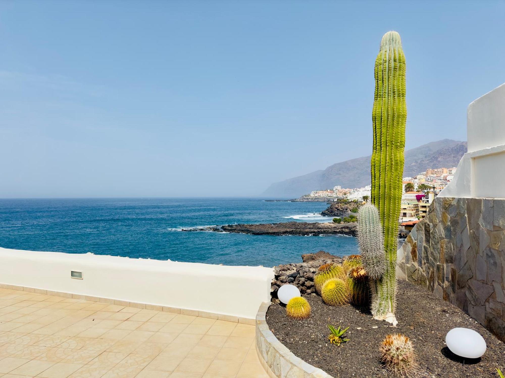 Beachfront Villa And Pool Puerto de Santiago  Ngoại thất bức ảnh